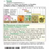 Pflaumentomate Valido F1 | Pflaumentomatensamen Von Austrosaat