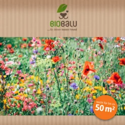 Bienenweide Region Nord-West (mehrjährig, 50 G) | Bienenwiese Von Biobalu -Angebote Pflanzen Glanz Store 543483 Bienenweide Region Nord West mehrjaehrig 50 g 3