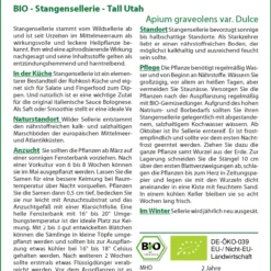 Stangensellerie Tall Utah | BIO Stangenselleriesamen Von Saflax