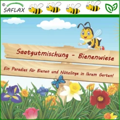 Bienenwiese | Bienenwiese Von Saflax