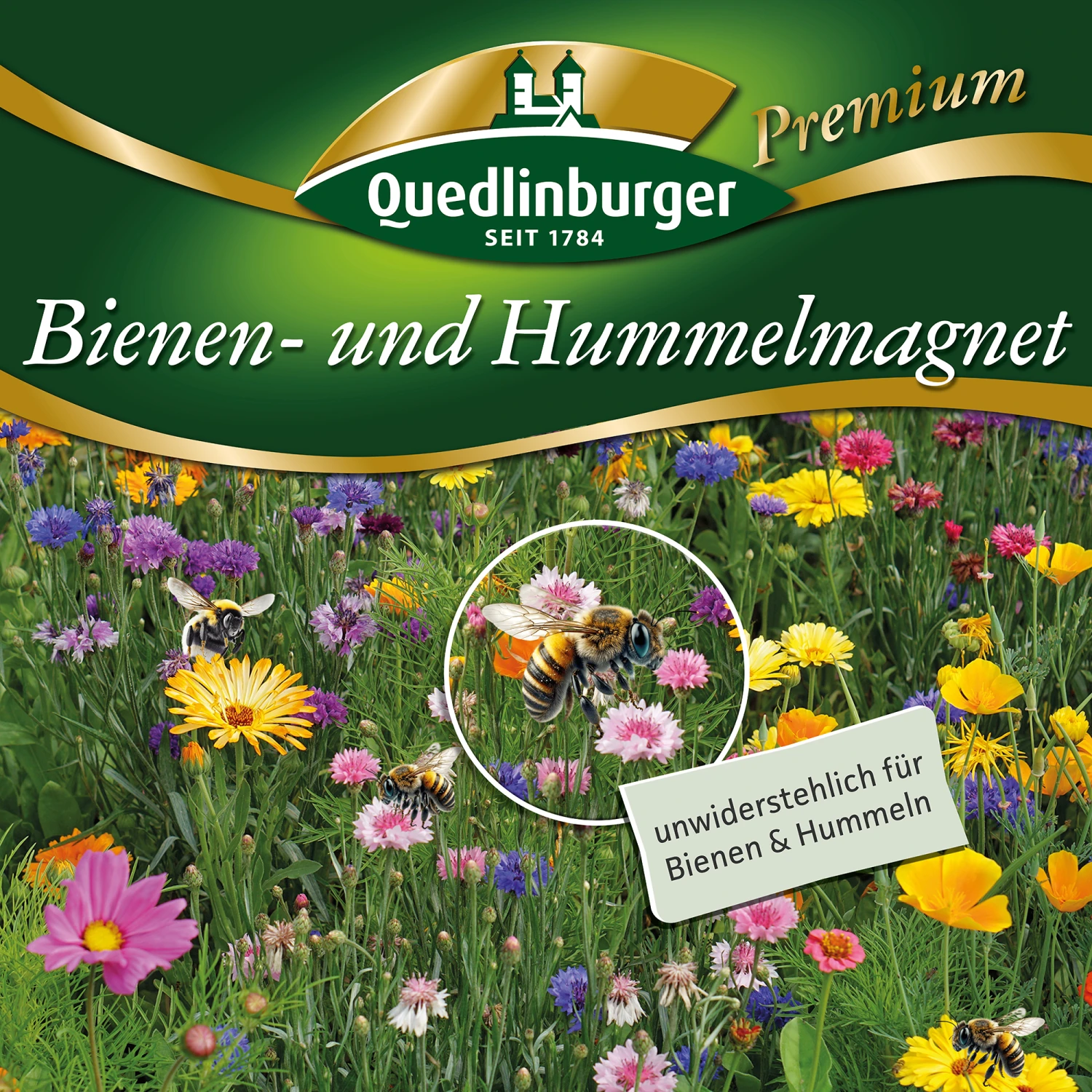 Bienen- Und Hummelmagnet (500 G) | Bienenwiese Von Quedlinburger 3 Bienen- Und Hummelmagnet (500 G) | Bienenwiese Von Quedlinburger – Bild 3