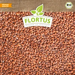 Bio-Kresse (900 G) | Bio-Kressesamen Von Flortus -Angebote Pflanzen Glanz Store 543638 Bio Kresse 900 g 4