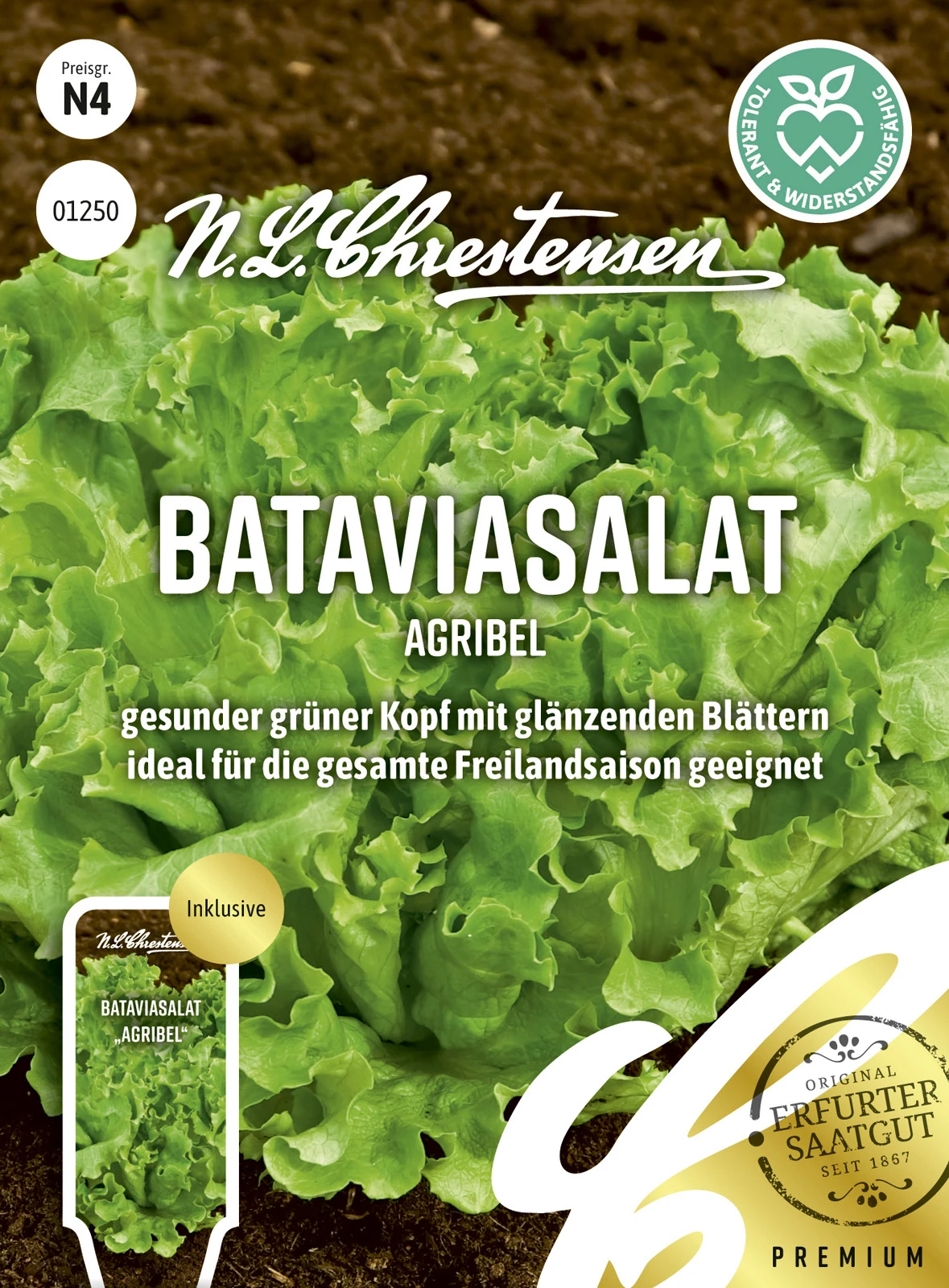 Bataviasalat Agribel | Salatsamen Von N.L. Chrestensen 2 Bataviasalat Agribel | Salatsamen Von N.L. Chrestensen – Bild 2