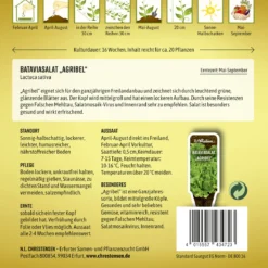 Bataviasalat Agribel | Salatsamen Von N.L. Chrestensen