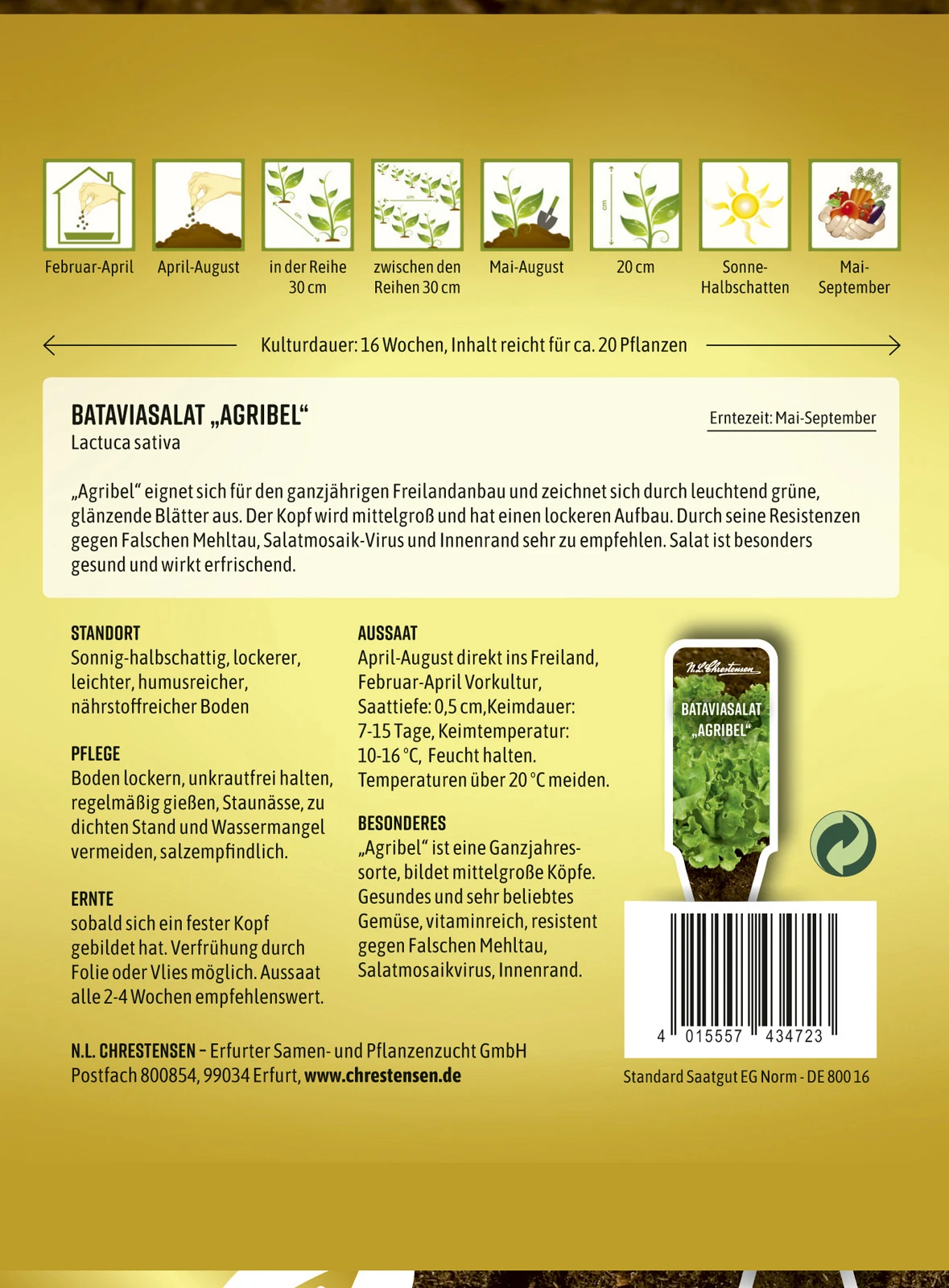 Bataviasalat Agribel | Salatsamen Von N.L. Chrestensen 1 Bataviasalat Agribel | Salatsamen Von N.L. Chrestensen