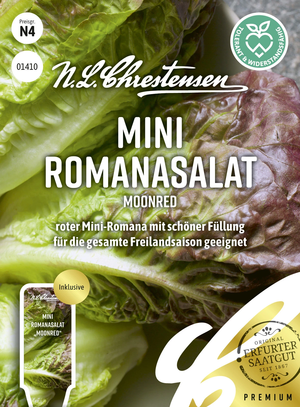 Mini Romanasalat Moonred | Romanasalatsamen Von N.L. Chrestensen 2 Mini Romanasalat Moonred | Romanasalatsamen Von N.L. Chrestensen – Bild 2