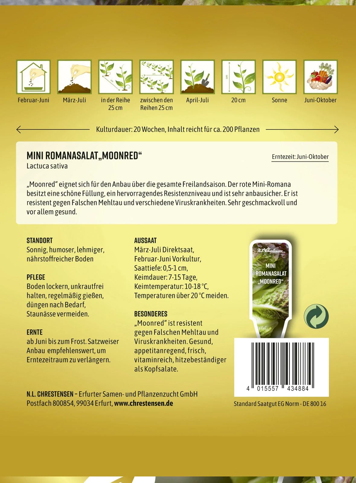 Mini Romanasalat Moonred | Romanasalatsamen Von N.L. Chrestensen 1 Mini Romanasalat Moonred | Romanasalatsamen Von N.L. Chrestensen