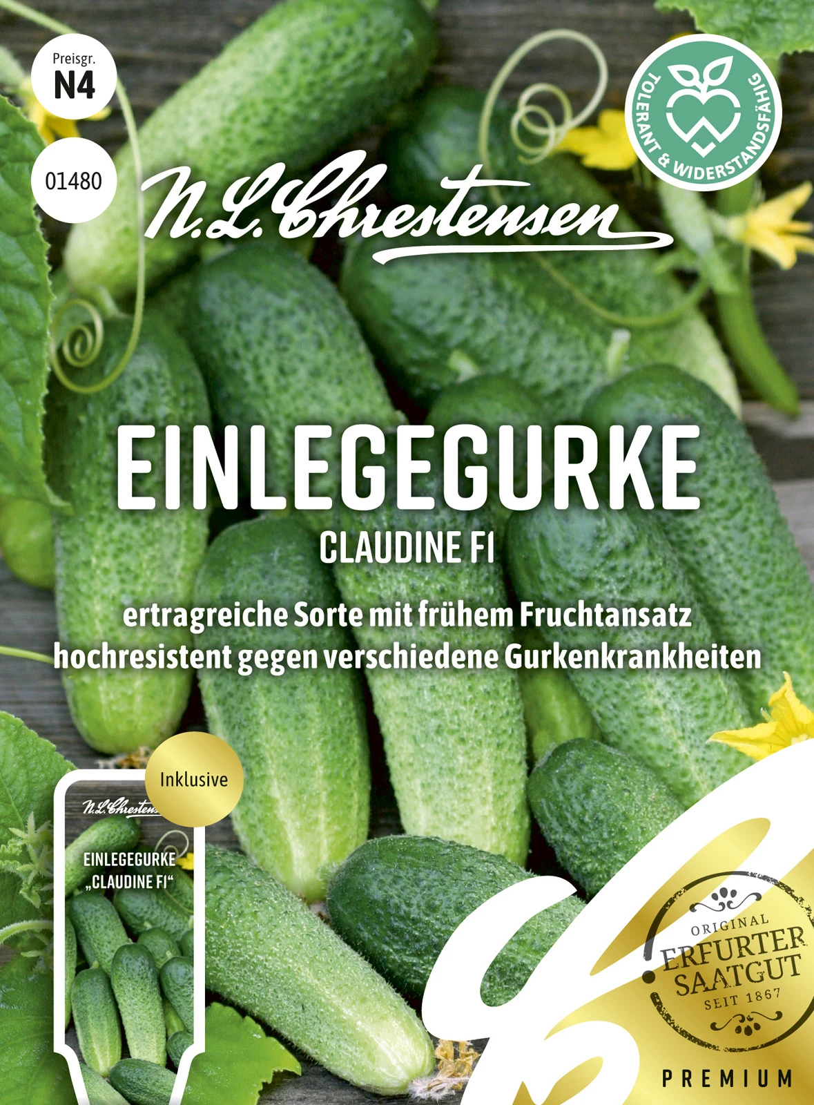 Einlegegurke Claudine F1 | Einlegegurkensamen Von N.L. Chrestensen 1 Einlegegurke Claudine F1 | Einlegegurkensamen Von N.L. Chrestensen