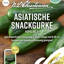 Asiatische Snackgurke Hopeline F1 | Gurkensamen Von N.L. Chrestensen 3 Asiatische Snackgurke Hopeline F1 | Gurkensamen Von N.L. Chrestensen -Angebote Pflanzen Glanz Store 543723 Asiatische Snackgurke Hopeline F1