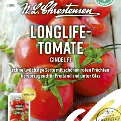 Longlife - Tomate Cindel F1 | Tomatensamen Von N.L. Chrestensen