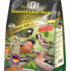 Sonnenblumenkerne Geschält (1 Kg) | Sonnenblumenkerne Von GEVO