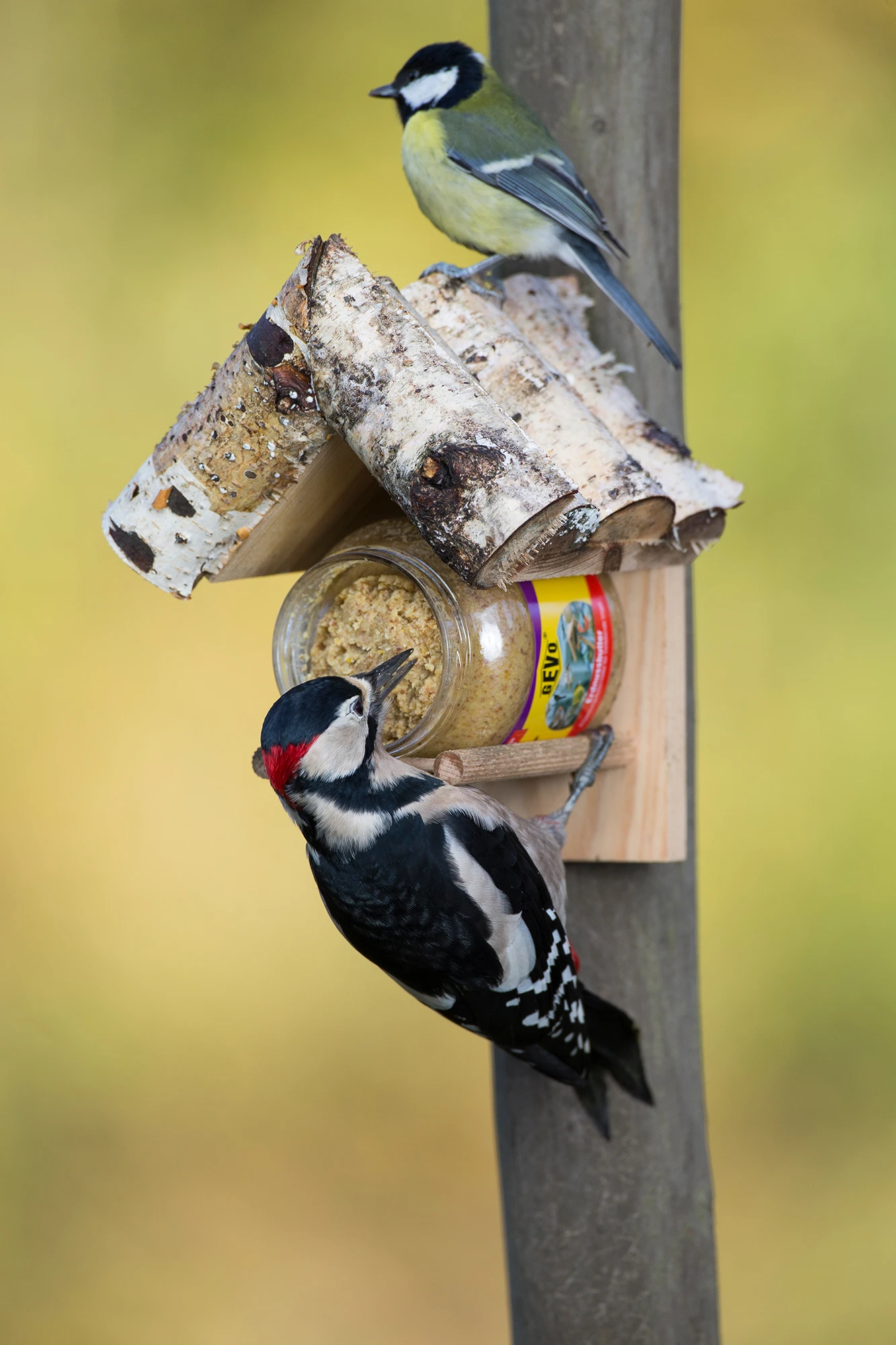 Holz-Halterung Für Futterglas | Holz-Halterung Von GEVO 1 Holz-Halterung Für Futterglas | Holz-Halterung Von GEVO