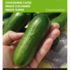 Snackgurke Iznik F1 | Minigurkensamen Von Buzzy Seeds [MHD 07/2024]