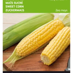 Zuckermais Tasty Sweet F1 | Maissamen Von Buzzy Seeds