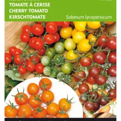 Kirschtomate Cherry Mischung | Kirschtomatensamen Von Buzzy Seeds