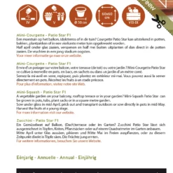 Zucchini Patio Star F1 | Zucchinisamen Von Buzzy Seeds 3 Zucchini Patio Star F1 | Zucchinisamen Von Buzzy Seeds -Angebote Pflanzen Glanz Store 545332 Zucchini Patio Star F1 1