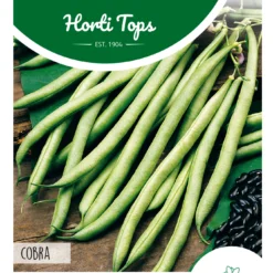 Stangenbohnen Cobra (100 G) | Stangenbohnensamen Von Hortitops