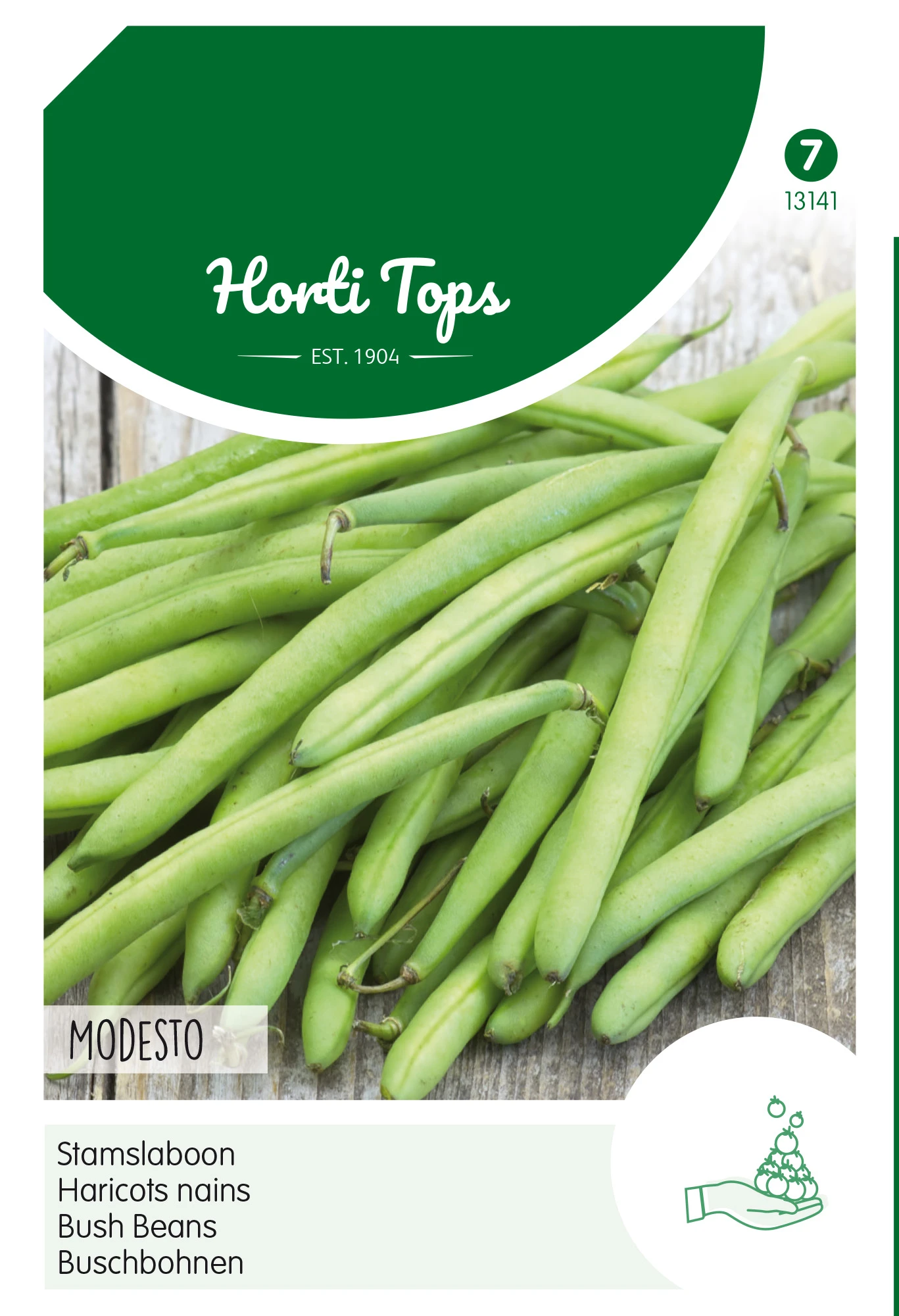 Buschbohnen Montano (100 G) | Buschbohnensamen Von Hortitops 2 Buschbohnen Montano (100 G) | Buschbohnensamen Von Hortitops – Bild 2