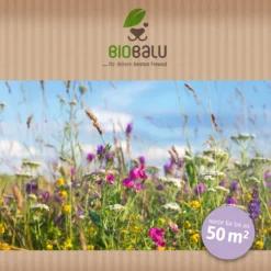 Bienenweide Halbschatten- Und Schattenbereich (50 G) | Bienenwiese Von Biobalu 7 Bienenweide Halbschatten- Und Schattenbereich (50 G) | Bienenwiese Von Biobalu -Angebote Pflanzen Glanz Store 546069 Bienenweide Halbschatten und Schattenbereich 50 g 2