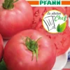 Tomate Rose Crush F1 | Tomatensamen Von Samen Pfann