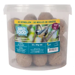 Meisenknödel Im Eimer (30 Stück) | Vogelfutter Von Bûten Birds