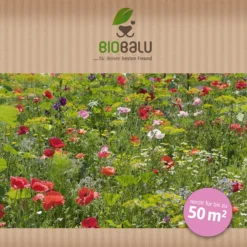 Saatgutmischung Sommerzauber (30 G) | Bienenwiese Von Biobalu 7 Saatgutmischung Sommerzauber (30 G) | Bienenwiese Von Biobalu -Angebote Pflanzen Glanz Store 547420 Saatgutmischung Sommerzauber 30 g 1