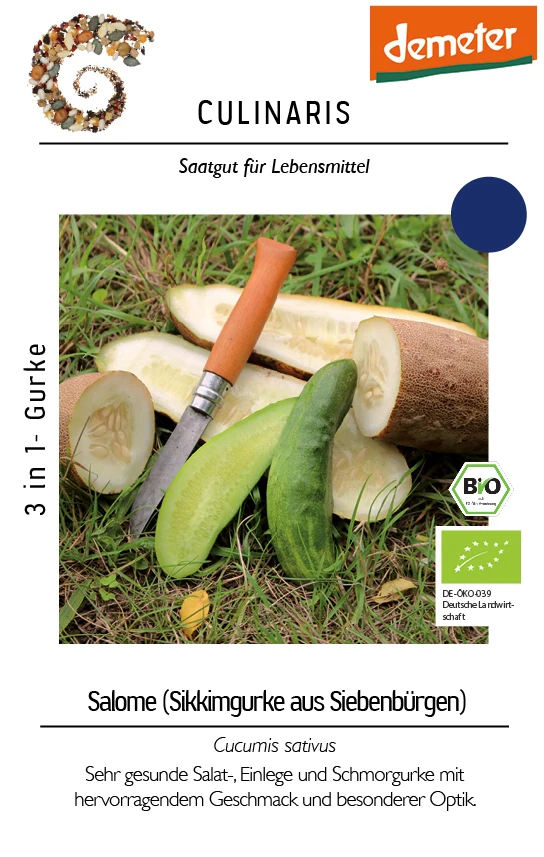 Gurke Sikkimgurke Aus Siebenbürgen | BIO Salatgurkensamen Von Culinaris 1 Gurke Sikkimgurke Aus Siebenbürgen | BIO Salatgurkensamen Von Culinaris