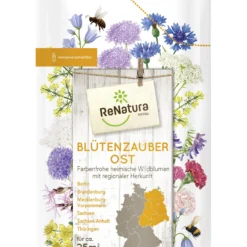 Regio Blütenzauber Ost (275 G) | Wildblumenwiese Von ReNatura