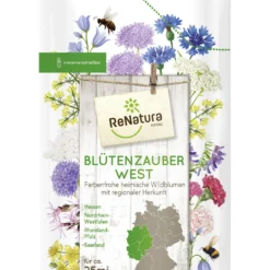 Regio Blütenzauber West (275 G) | Wildblumenwiese Von ReNatura
