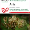 Anis | Anissamen Von Saflax
