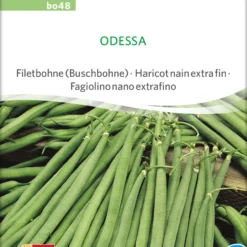Angebote Pflanzen Glanz Store -Angebote Pflanzen Glanz Store 549725 BIO Filetbohne Odessa bo48 sr 0