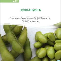 Sojabohne Hokkai Green | BIO Bohnensamen Von Sativa Rheinau