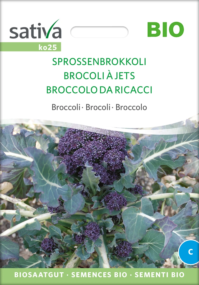 Sprossenbrokkoli | BIO Brokkolisamen Von Sativa Rheinau 2 Sprossenbrokkoli | BIO Brokkolisamen Von Sativa Rheinau – Bild 2