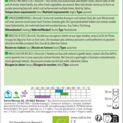 Sprossenbrokkoli | BIO Brokkolisamen Von Sativa Rheinau