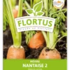 Möhre Nantaise 2 (100 Stück) | Möhrensamen Von FLORTUS