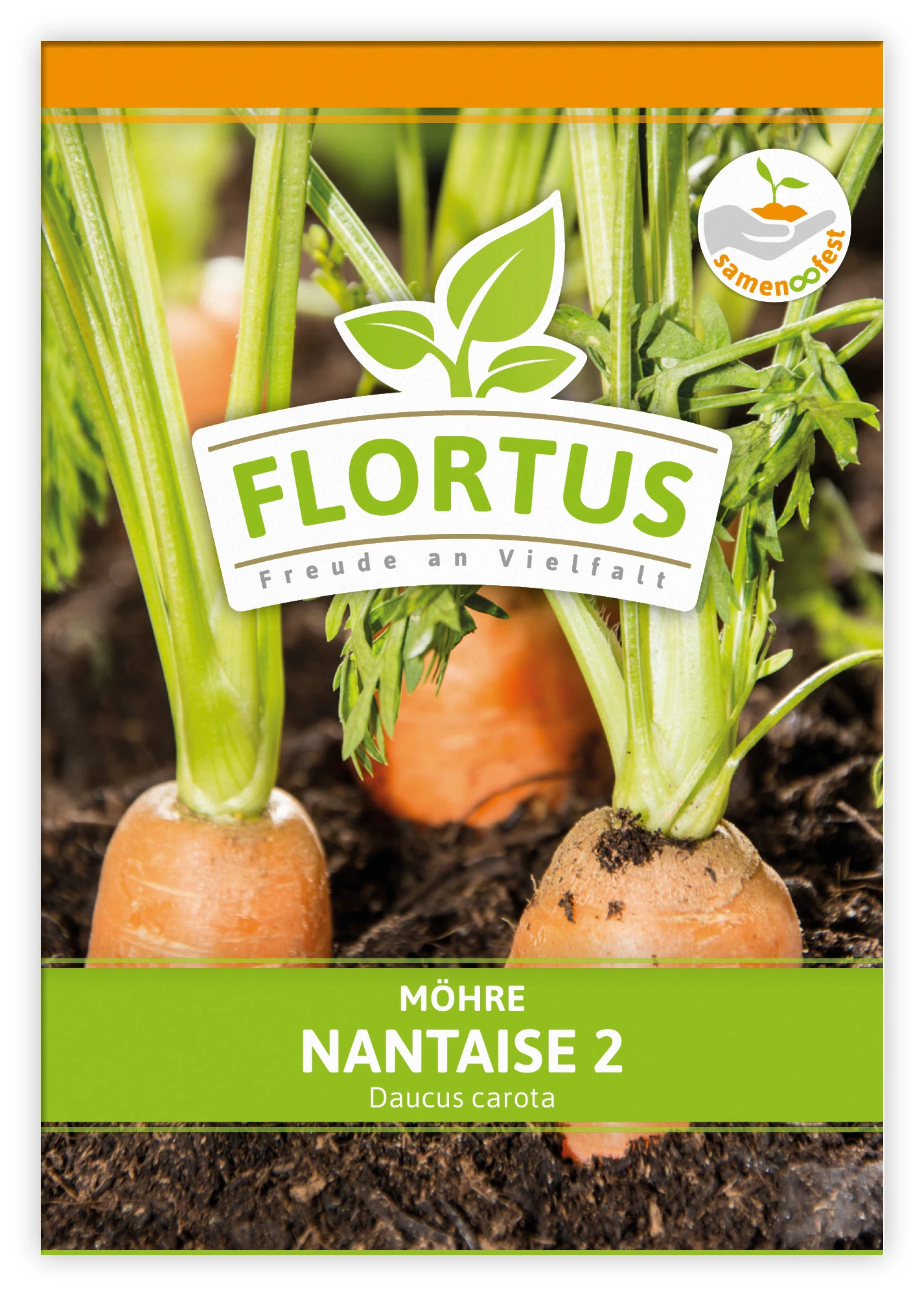 Möhre Nantaise 2 (100 Stück) | Möhrensamen Von FLORTUS 1 Möhre Nantaise 2 (100 Stück) | Möhrensamen Von FLORTUS