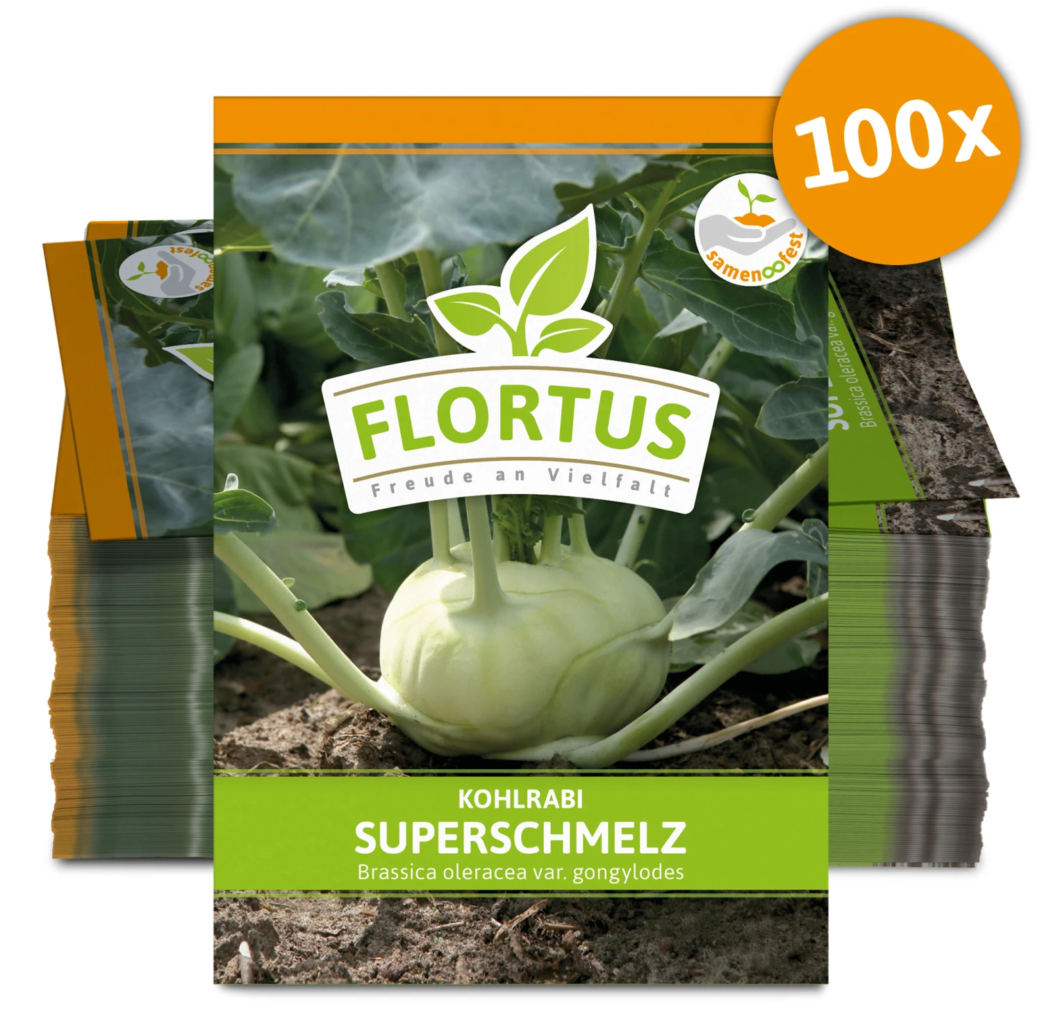 Kohlrabi Superschmelz (100 Stück) | Kohlrabisamen Von FLORTUS 2 Kohlrabi Superschmelz (100 Stück) | Kohlrabisamen Von FLORTUS – Bild 2