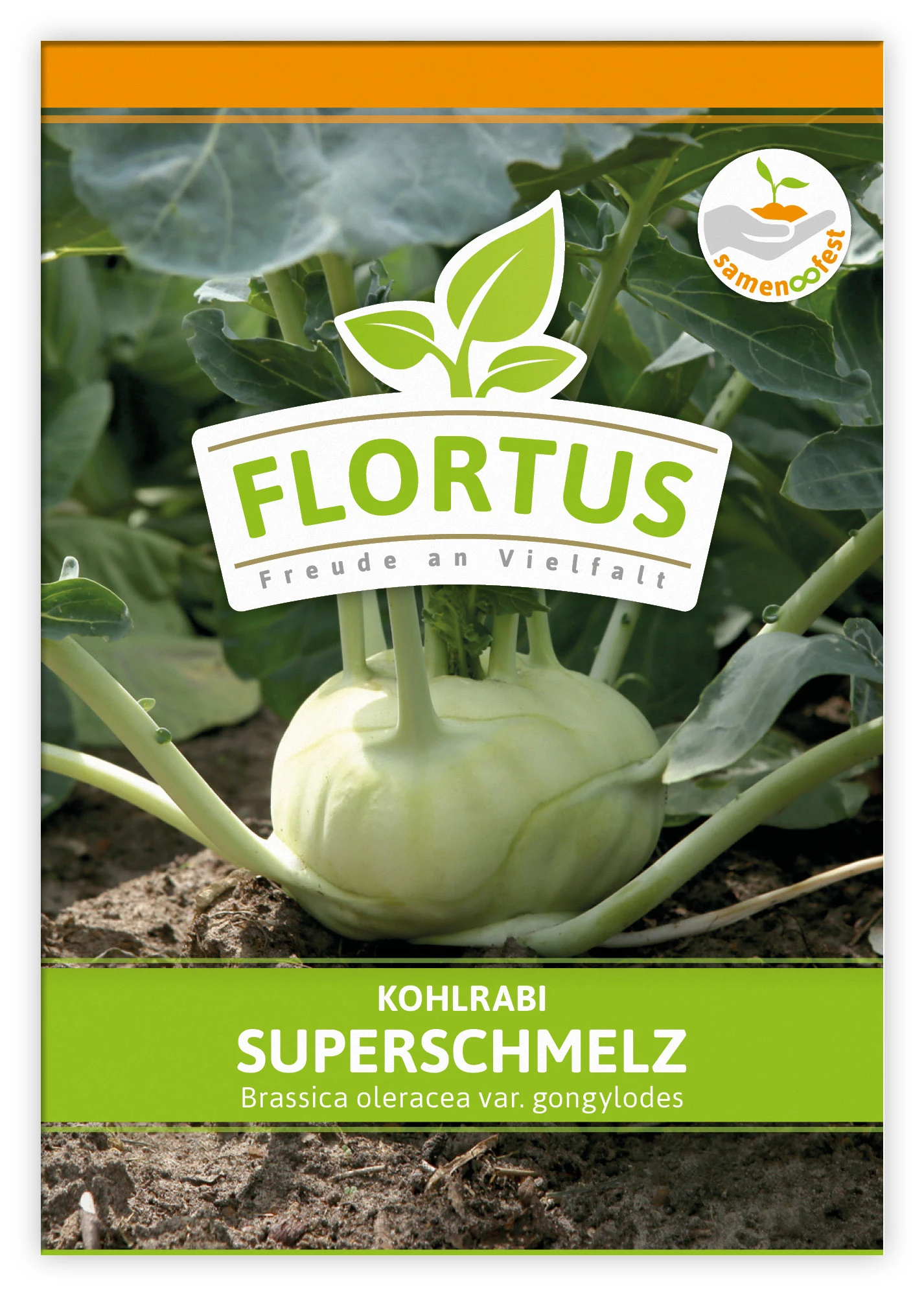 Kohlrabi Superschmelz (100 Stück) | Kohlrabisamen Von FLORTUS 3 Kohlrabi Superschmelz (100 Stück) | Kohlrabisamen Von FLORTUS – Bild 3