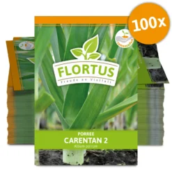 Lauch-Porree Carentan 2 (100 Stück) | Lauchsamen Von FLORTUS