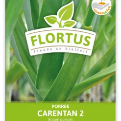 Lauch-Porree Carentan 2 (100 Stück) | Lauchsamen Von FLORTUS 5 Lauch-Porree Carentan 2 (100 Stück) | Lauchsamen Von FLORTUS -Angebote Pflanzen Glanz Store 549857 Lauch Porree Carentan 2 100 Stueck 2000 0474 100x 1