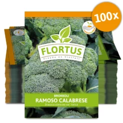 Brokkoli Ramoso Calabrese (100 Stück) | Brokkolisamen Von FLORTUS 5 Brokkoli Ramoso Calabrese (100 Stück) | Brokkolisamen Von FLORTUS -Angebote Pflanzen Glanz Store 549858 Brokkoli Ramoso Calabrese 100 Stueck 2000 0475 100x 0