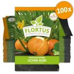 Hokkaidokürbis Uchiki Kuri (100 Stück) | Hokkaidokürbissamen Von FLORTUS 5 Hokkaidokürbis Uchiki Kuri (100 Stück) | Hokkaidokürbissamen Von FLORTUS -Angebote Pflanzen Glanz Store 549859 Hokkaidokuerbis Uchiki Kuri 100 Stueck 2000 0476 100x 0