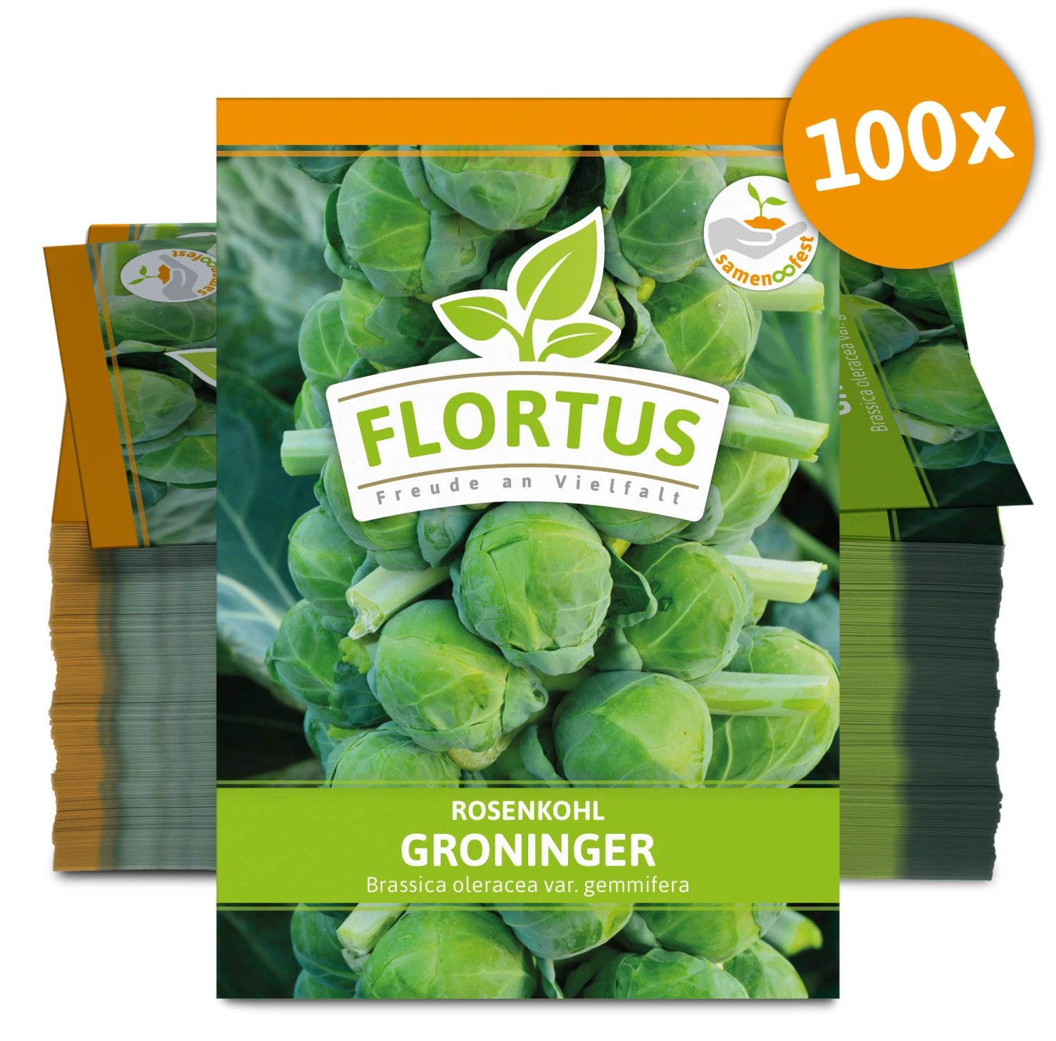 Rosenkohl Groninger (100 Stück) | Rosenkohlsamen Von FLORTUS 1 Rosenkohl Groninger (100 Stück) | Rosenkohlsamen Von FLORTUS