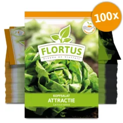 Kopfsalat Attractie (100 Stück) | Kopfsalatsamen Von FLORTUS -Angebote Pflanzen Glanz Store 549861 Kopfsalat Attractie 100 Stueck 2000 0478 100x 0