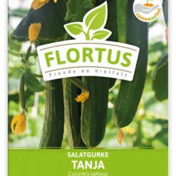 Salatgurke Tanja (100 Stück) | Salatgurkensamen Von FLORTUS 5 Salatgurke Tanja (100 Stück) | Salatgurkensamen Von FLORTUS -Angebote Pflanzen Glanz Store 549862 Salatgurke Tanja 100 Stueck 2000 0479 100x 1
