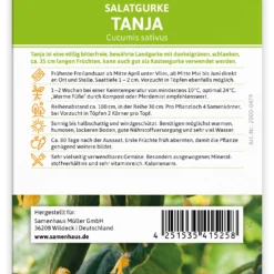 Salatgurke Tanja (100 Stück) | Salatgurkensamen Von FLORTUS