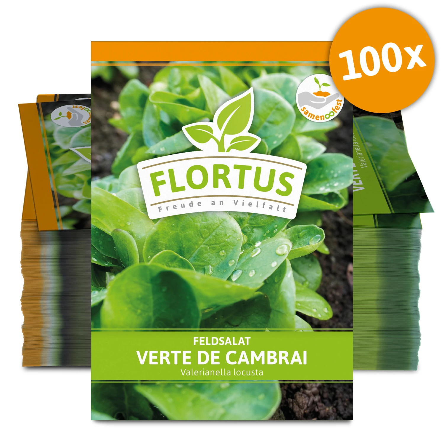 Feldsalat Verte De Cambrai (100 Stück) | Feldsalatsamen Von FLORTUS 1 Feldsalat Verte De Cambrai (100 Stück) | Feldsalatsamen Von FLORTUS
