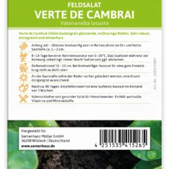 Feldsalat Verte De Cambrai (100 Stück) | Feldsalatsamen Von FLORTUS 5 Feldsalat Verte De Cambrai (100 Stück) | Feldsalatsamen Von FLORTUS -Angebote Pflanzen Glanz Store 549863 Feldsalat Verte de Cambrai 100 Stueck 2000 0480 100x 2