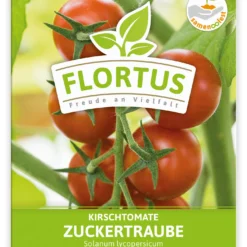 Kirschtomate Zuckertraube (100 Stück) | Kirschtomatensamen Von FLORTUS 5 Kirschtomate Zuckertraube (100 Stück) | Kirschtomatensamen Von FLORTUS -Angebote Pflanzen Glanz Store 549864 Kirschtomate Zuckertraube 100 Stueck 2000 0481 100x 1