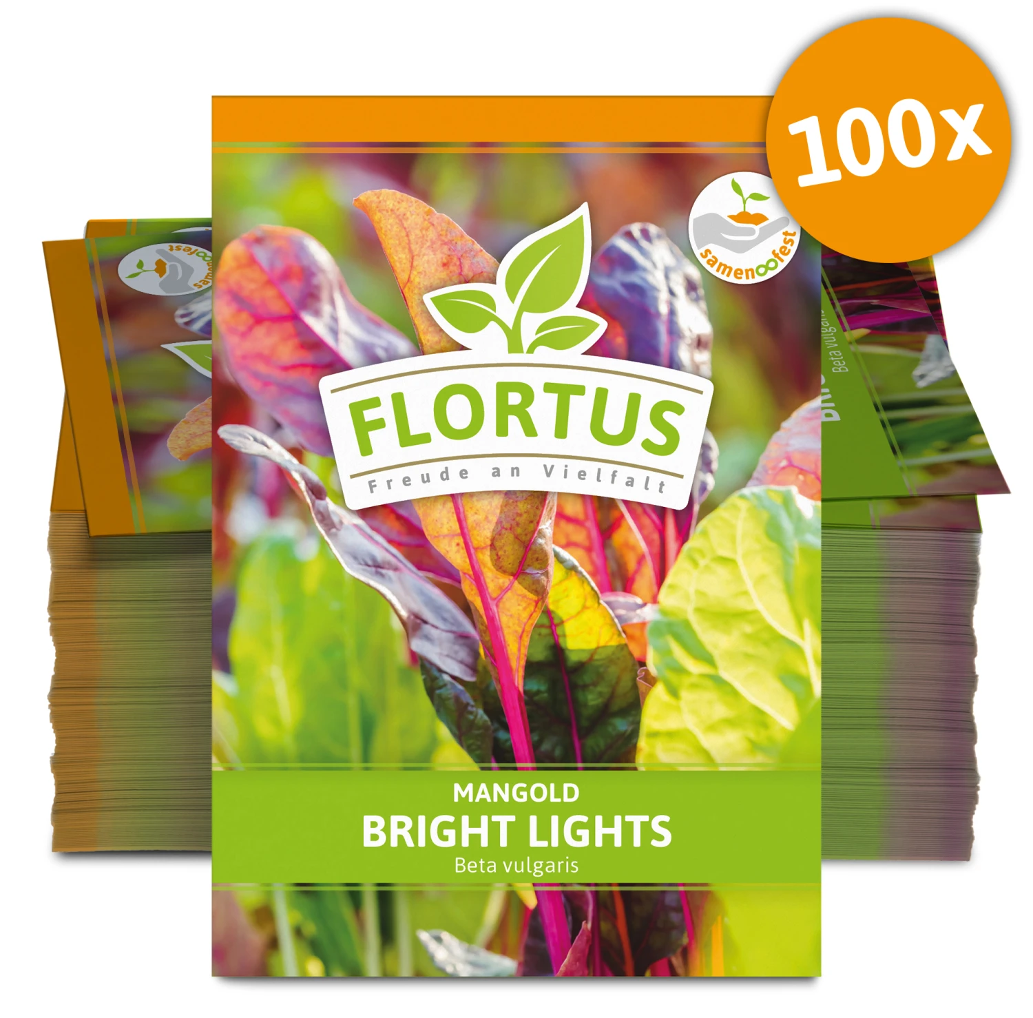 Mangold Bright Lights (100 Stück) | Mangoldsamen Von FLORTUS 2 Mangold Bright Lights (100 Stück) | Mangoldsamen Von FLORTUS – Bild 2